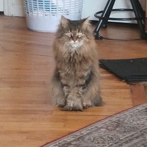 Meet your Posher, Christian